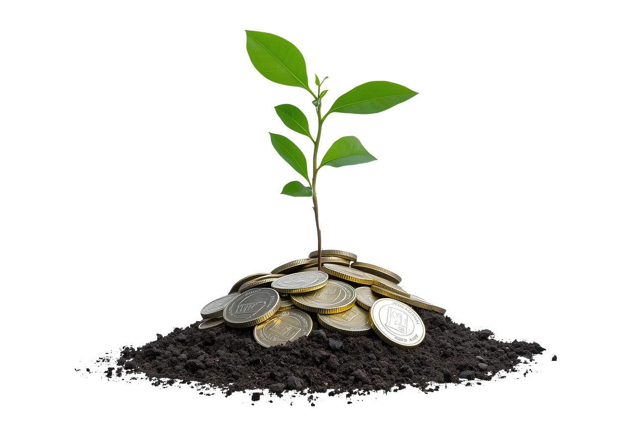 Proven strategies to grow your wealth